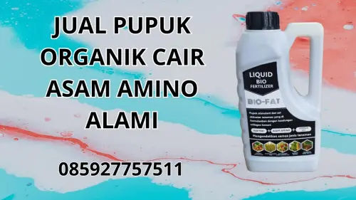 085927757511 Jual Pupuk Organik Cair Asam Amino Alami Muaro Jambi 085927757511 Jual Pupuk Organik Cair Asam Amino Alami Muaro Jambi