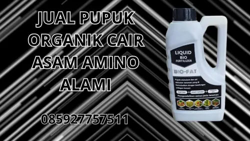 085927757511 Jual Pupuk Organik Cair Asam Amino Alami Bengkulu