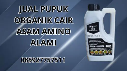 085927757511 Jual Pupuk Organik Cair Asam Amino Alami Lombok Tengah 085927757511 Jual Pupuk Organik Cair Asam Amino Alami Lombok Tengah