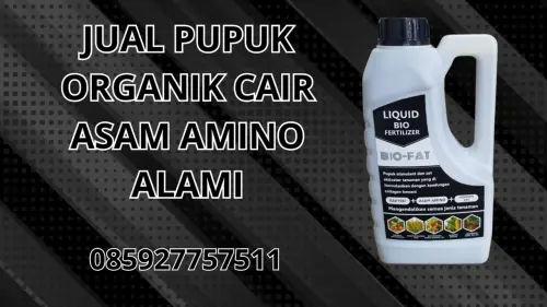 085927757511 Jual Pupuk Organik Cair Asam Amino Alami Hidroponik Bangkalan 085927757511 Jual Pupuk Organik Cair Asam Amino Alami Hidroponik Bangkalan