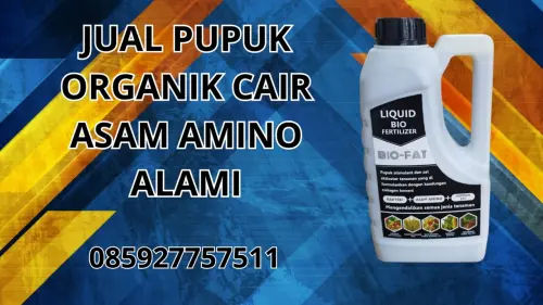 085927757511 Jual Pupuk Organik Cair Asam Amino Alami Manggarai Timur 085927757511 Jual Pupuk Organik Cair Asam Amino Alami Manggarai Timur