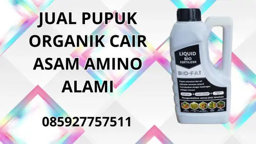 085927757511 Jual Pupuk Organik Cair Asam Amino Alami Lombok Timur 085927757511 Jual Pupuk Organik Cair Asam Amino Alami Lombok Timur
