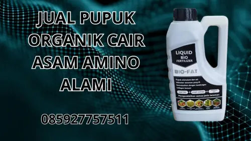 085927757511 Jual Pupuk Organik Cair Asam Amino Alami Hidroponik Konawe Selatan 085927757511 Jual Pupuk Organik Cair Asam Amino Alami Hidroponik Konawe Selatan