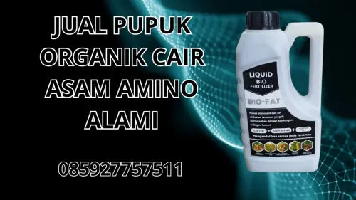 085927757511 Jual Pupuk Organik Cair Asam Amino Alami Nagekeo 085927757511 Jual Pupuk Organik Cair Asam Amino Alami Nagekeo