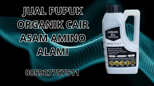 085927757511 Jual Pupuk Organik Cair Asam Amino Alami  Depok 085927757511 Jual Pupuk Organik Cair Asam Amino Alami  Depok
