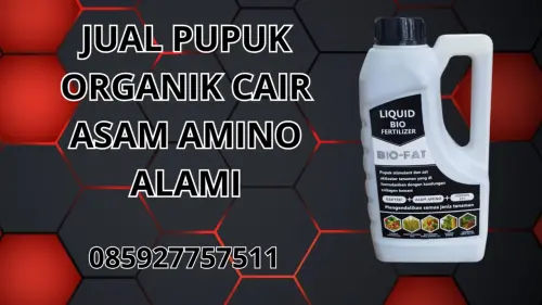 085927757511 Jual Pupuk Organik Cair Asam Amino Alami Hidroponik Bolaang Mongondow Utara 085927757511 Jual Pupuk Organik Cair Asam Amino Alami Hidroponik Bolaang Mongondow Utara
