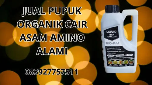 085927757511 Jual Pupuk Organik Cair Asam Amino Alami Yogyakarta 085927757511 Jual Pupuk Organik Cair Asam Amino Alami Yogyakarta