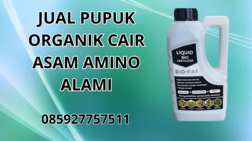 085927757511 Jual Pupuk Organik Cair Asam Amino Alami Hidroponik  Situbondo