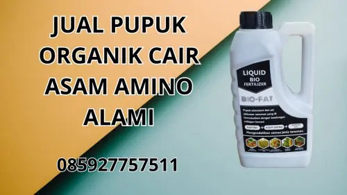 085927757511 Jual Pupuk Organik Cair Asam Amino Alami Bengkulu Tengah 085927757511 Jual Pupuk Organik Cair Asam Amino Alami Bengkulu Tengah