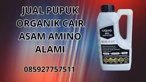 085927757511 Jual Pupuk Organik Cair Asam Amino Alami  Luwu Utara