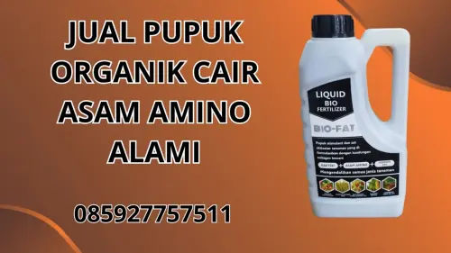 085927757511 Jual Pupuk Organik Cair Asam Amino Alami Ende 085927757511 Jual Pupuk Organik Cair Asam Amino Alami Ende