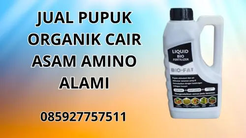 085927757511 Jual Pupuk Organik Cair Asam Amino Alami Hidroponik  Salatiga