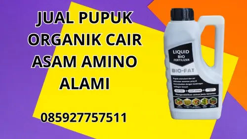 085927757511 Jual Pupuk Organik Cair Asam Amino Alami Hidroponik  Sampang