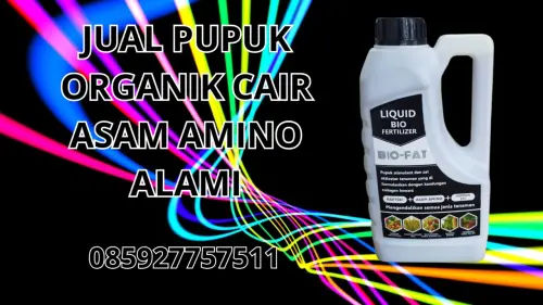 085927757511 Jual Pupuk Organik Cair Asam Amino Alami Gorontalo 085927757511 Jual Pupuk Organik Cair Asam Amino Alami Gorontalo