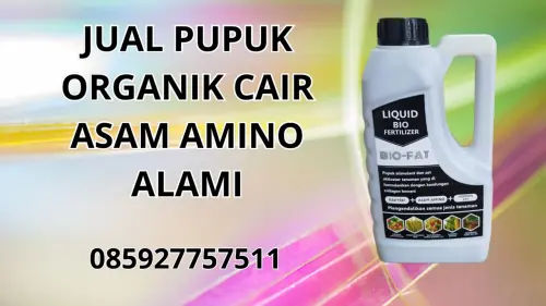 085927757511 Jual Pupuk Organik Cair Asam Amino Alami Hidroponik Kotamobagu 085927757511 Jual Pupuk Organik Cair Asam Amino Alami Hidroponik Kotamobagu