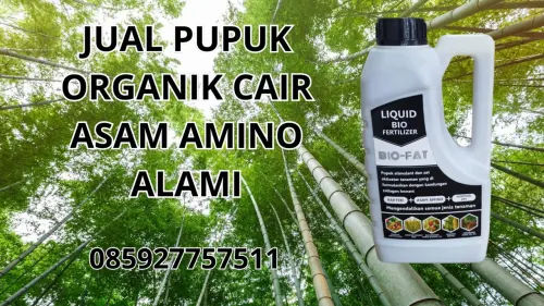 085927757511 Jual Pupuk Organik Cair Asam Amino Alami Hidroponik  Ngawi