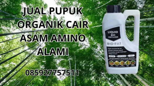 085927757511 Jual Pupuk Organik Cair Asam Amino Alami Hidroponik Palu 085927757511 Jual Pupuk Organik Cair Asam Amino Alami Hidroponik Palu