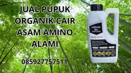 085927757511 Jual Pupuk Organik Cair Asam Amino Alami Hidroponik Kendari 085927757511 Jual Pupuk Organik Cair Asam Amino Alami Hidroponik Kendari