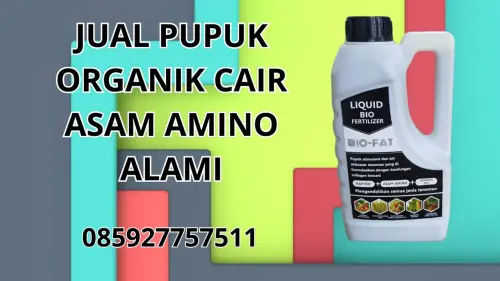 085927757511 Jual Pupuk Organik Cair Asam Amino Alami Rejang Lebong 085927757511 Jual Pupuk Organik Cair Asam Amino Alami Rejang Lebong
