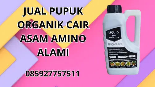 085927757511 Jual Pupuk Organik Cair Asam Amino Alami Alor 085927757511 Jual Pupuk Organik Cair Asam Amino Alami Alor