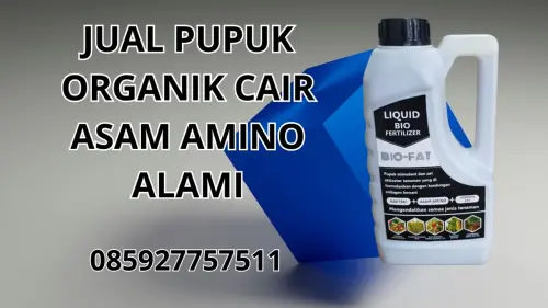 085927757511 Jual Pupuk Organik Cair Asam Amino Alami  Majalengka 085927757511 Jual Pupuk Organik Cair Asam Amino Alami  Majalengka