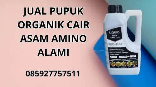 085927757511 Jual Pupuk Organik Cair Asam Amino Alami Boalemo 085927757511 Jual Pupuk Organik Cair Asam Amino Alami Boalemo