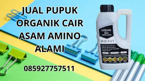 085927757511 Jual Pupuk Organik Cair Asam Amino Alami Hidroponik Buton Utara 085927757511 Jual Pupuk Organik Cair Asam Amino Alami Hidroponik Buton Utara