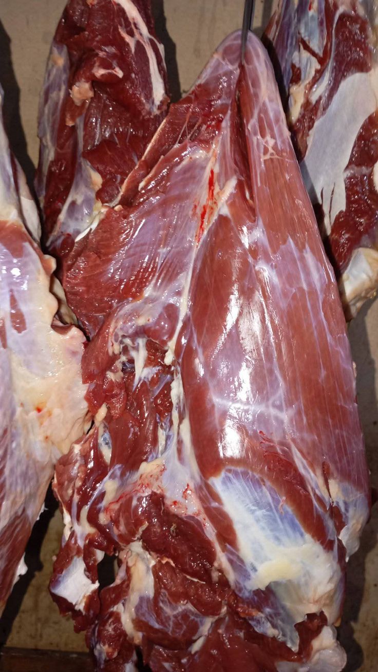 Penjualan Daging Sapi Segar
