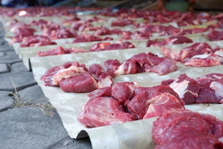 Penyaluran Daging Kurban