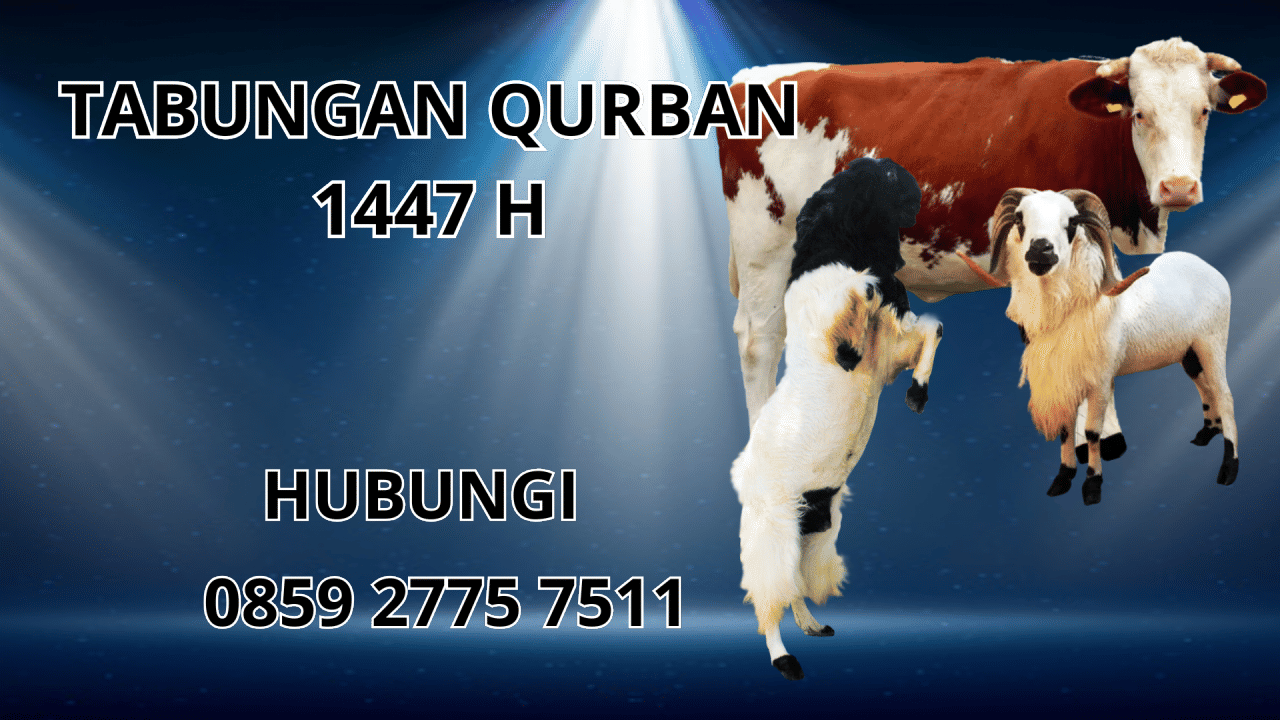 0859 2775 7511 Patungan Qurban Di Padangsidimpuan
