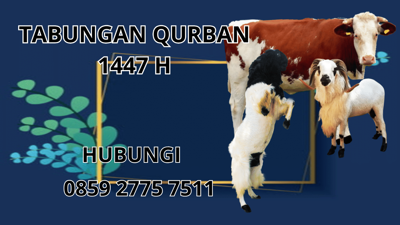 0859 2775 7511 Jasa Tabungan Qurban Di Aceh Tenggara