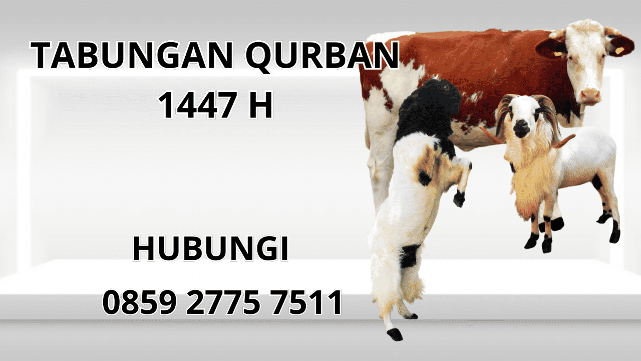 0859 2775 7511 Patungan Qurban Sapi Di Baubau 0859 2775 7511 Patungan Qurban Sapi Di Baubau