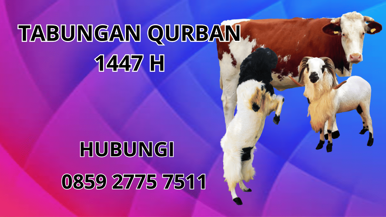 0859 2775 7511 Patungan Qurban Sapi Di Sigi 0859 2775 7511 Patungan Qurban Sapi Di Sigi
