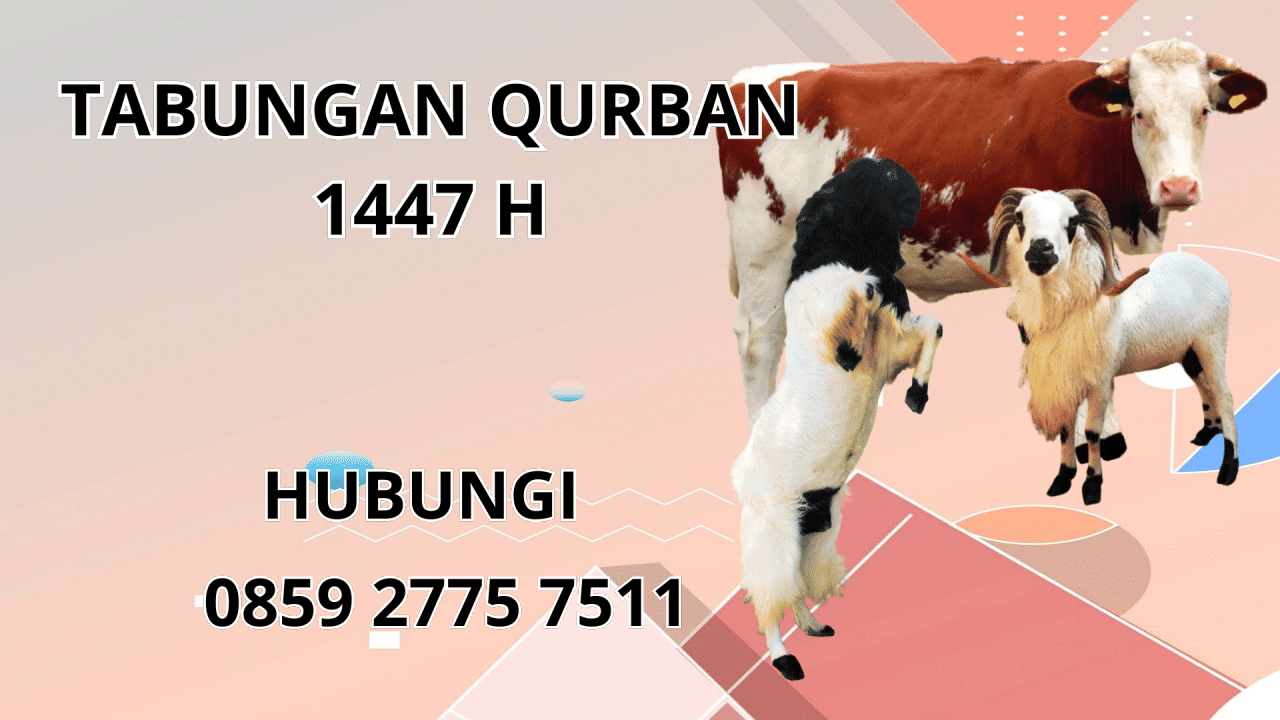 0859 2775 7511 Patungan Qurban Sapi Di Buton Selatan 0859 2775 7511 Patungan Qurban Sapi Di Buton Selatan