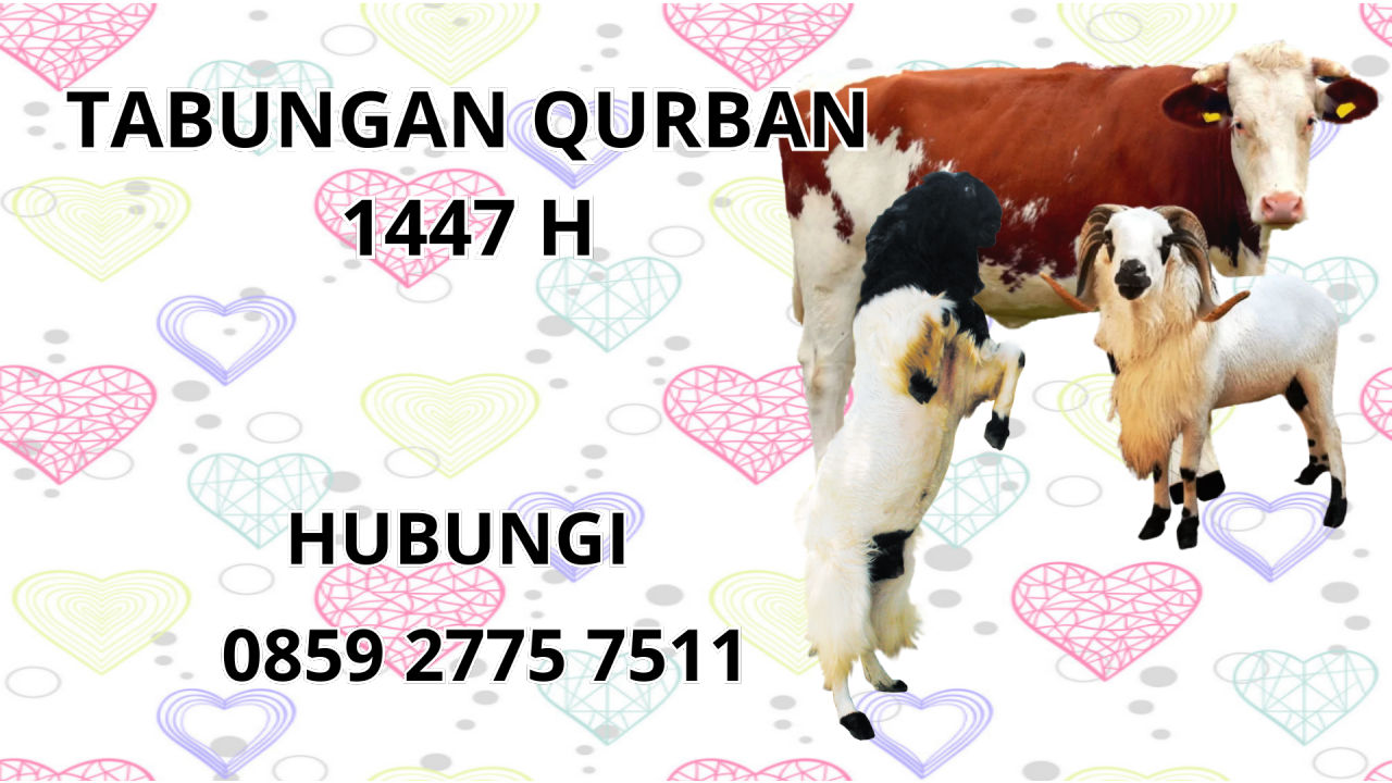 0859 2775 7511 Patungan Qurban Di Karo