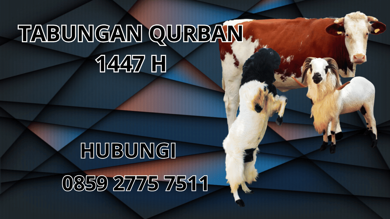 0859 2775 7511 Patungan Qurban Sapi Di Kepulauan Talaud 0859 2775 7511 Patungan Qurban Sapi Di Kepulauan Talaud