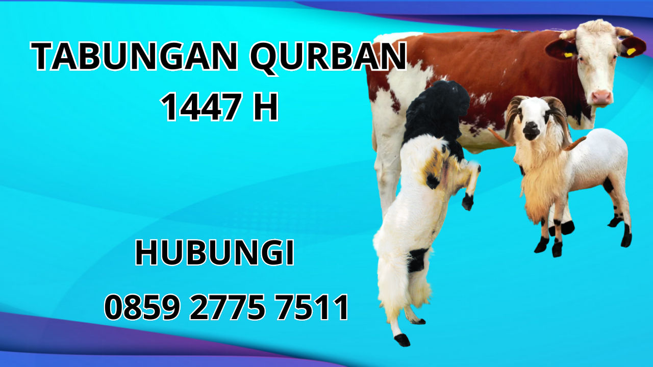0859 2775 7511 Patungan Qurban Sapi Di Konawe Utara 0859 2775 7511 Patungan Qurban Sapi Di Konawe Utara