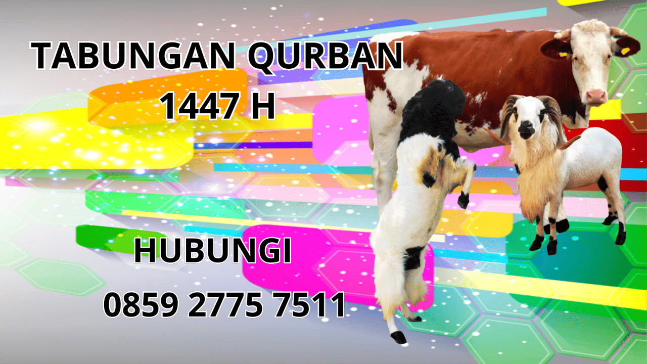 0859 2775 7511 Jasa Tabungan Qurban Di Klungkung