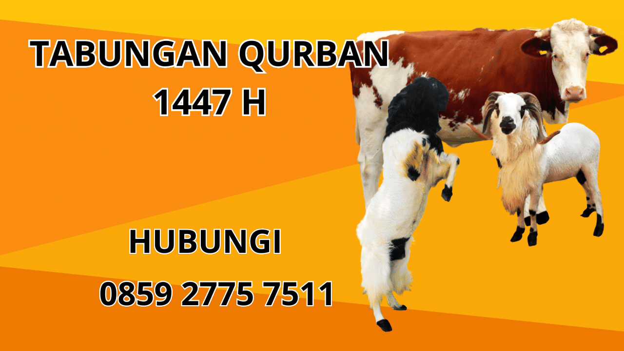 0859 2775 7511 Patungan Qurban Sapi Di Minahasa Utara 0859 2775 7511 Patungan Qurban Sapi Di Minahasa Utara
