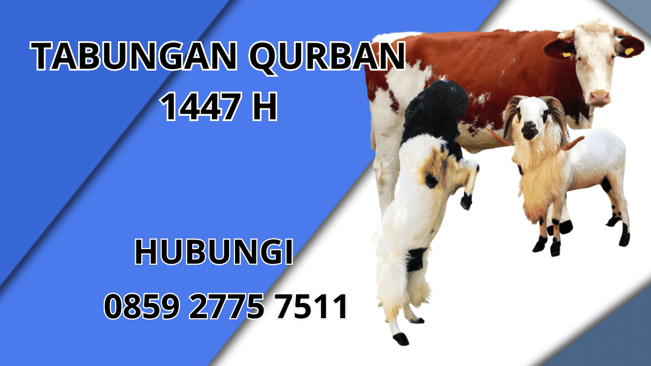 0859 2775 7511 Jasa Tabungan Qurban Di Tanjung Jabung Timur
