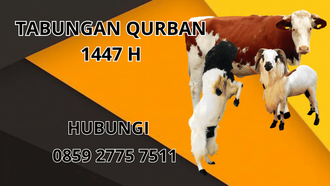 0859 2775 7511 Patungan Qurban Sapi Di Buton Tengah 0859 2775 7511 Patungan Qurban Sapi Di Buton Tengah