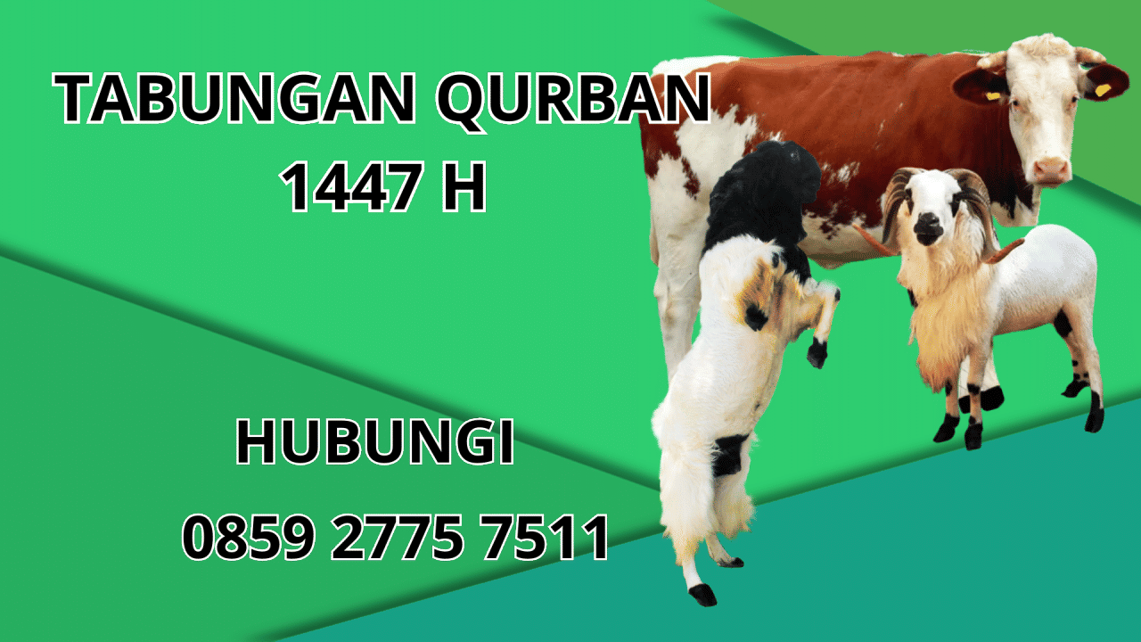 0859 2775 7511 Patungan Qurban Sapi Di Kepulauan Sangihe 0859 2775 7511 Patungan Qurban Sapi Di Kepulauan Sangihe