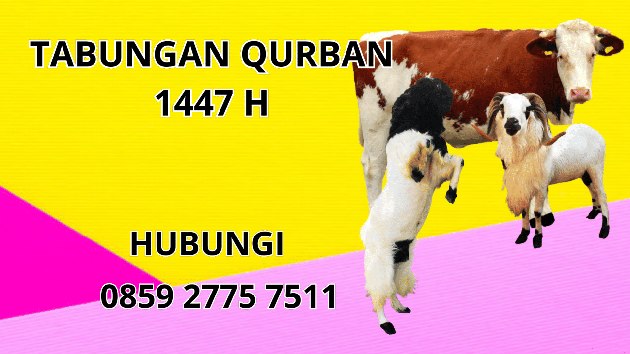 0859 2775 7511 Patungan Qurban Sapi Di Bolaang Mongondow 0859 2775 7511 Patungan Qurban Sapi Di Bolaang Mongondow