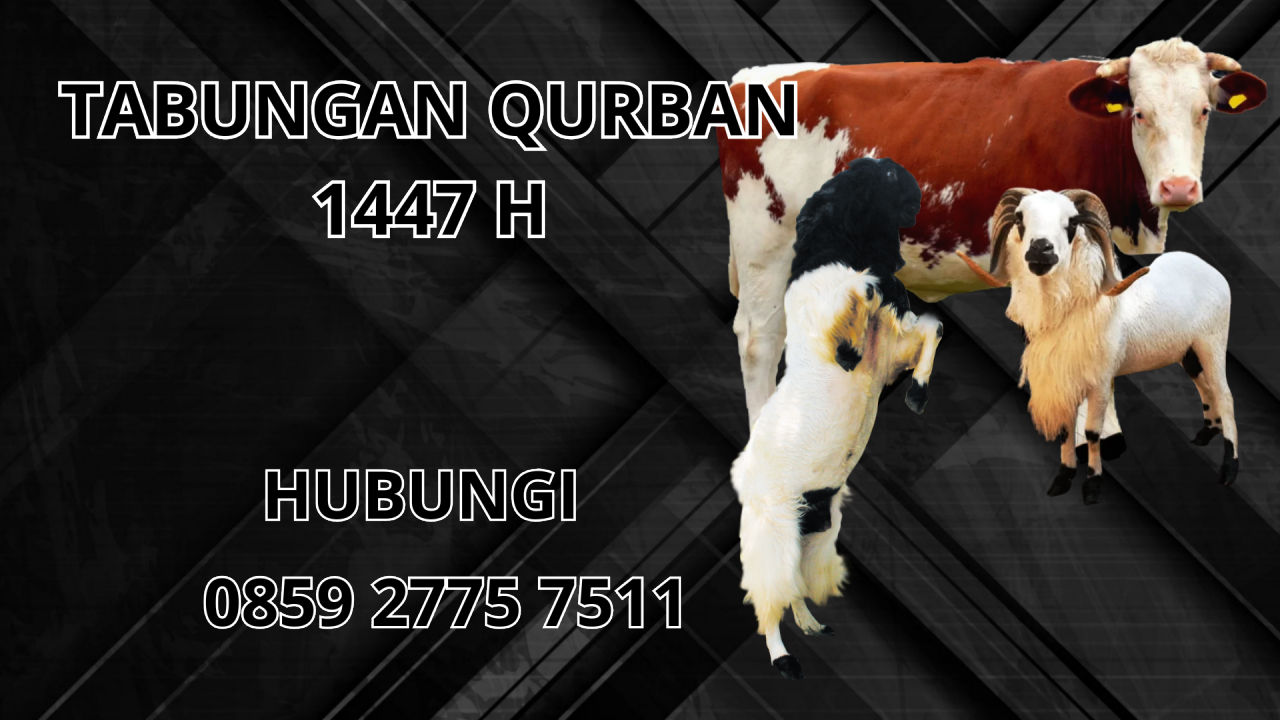 0859 2775 7511 Jasa Tabungan Qurban Di Pidie