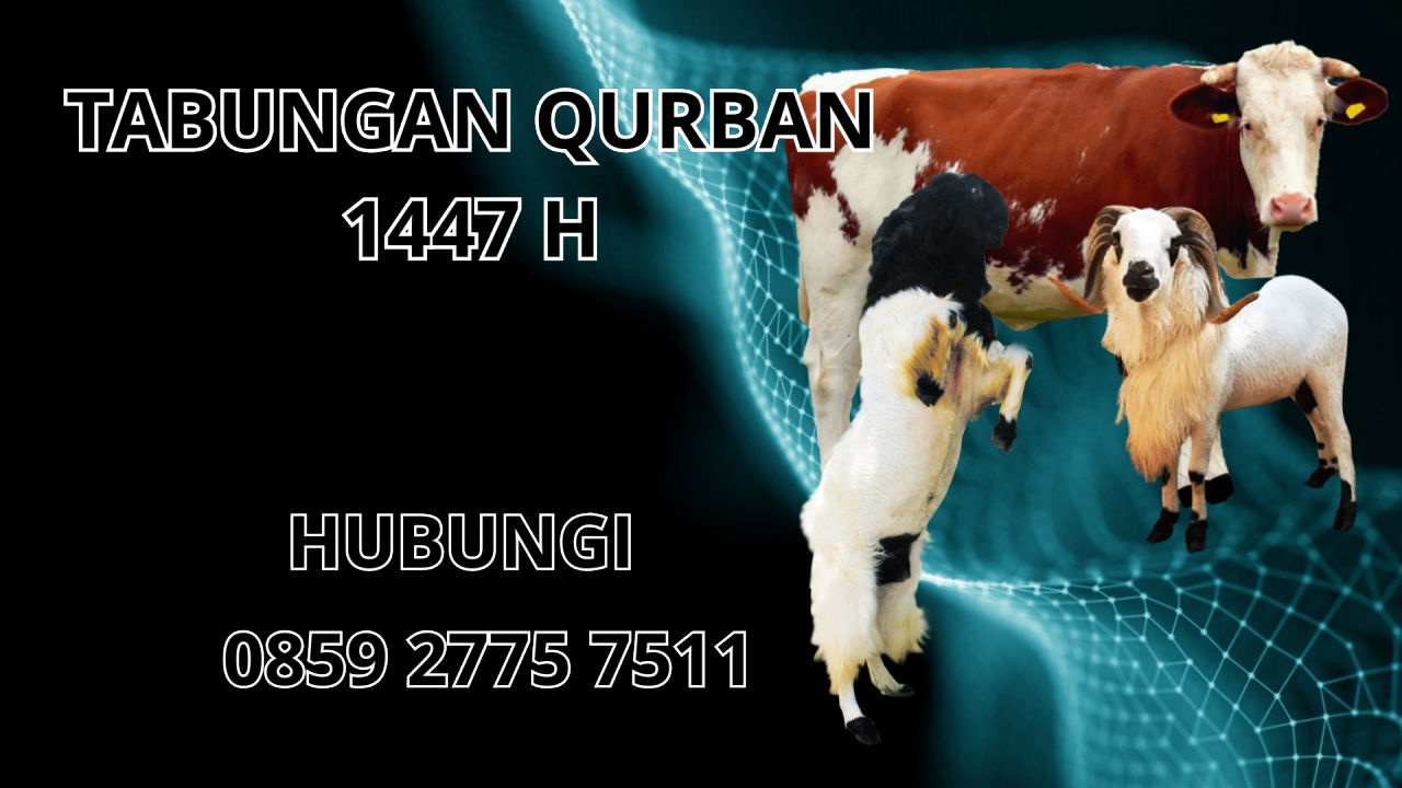 0859 2775 7511 Jasa Tabungan Qurban Di Aceh Barat