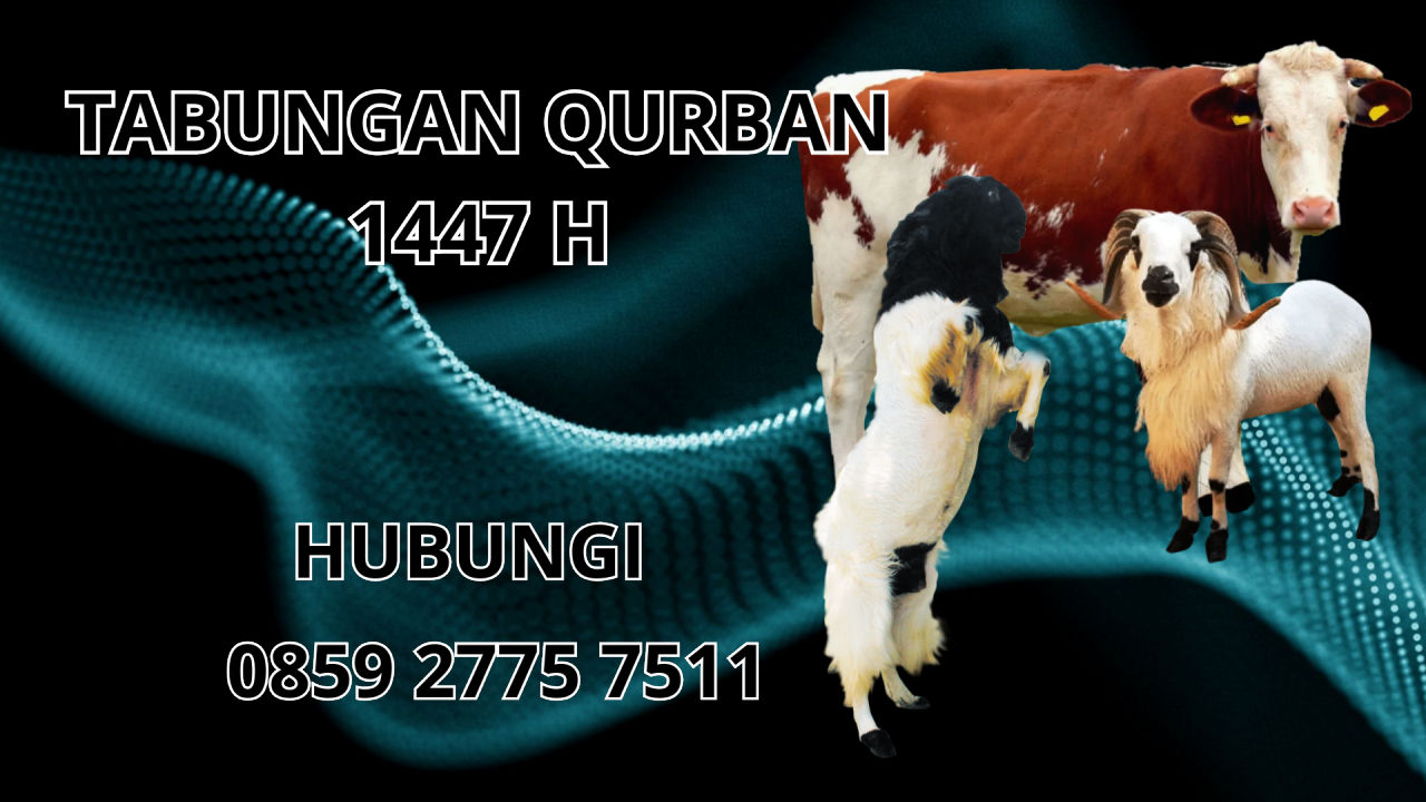 0859 2775 7511 Patungan Qurban Sapi Di Manado