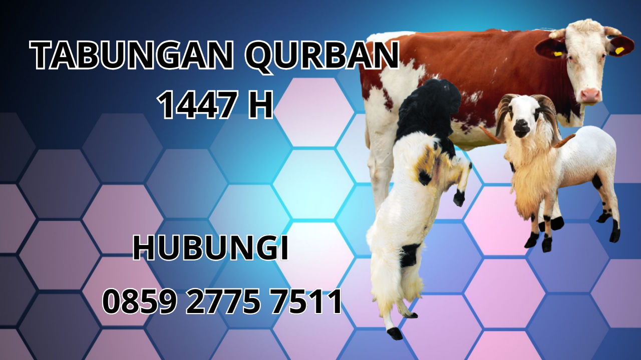 0859 2775 7511 Patungan Qurban Sapi Di Minahasa Selatan 0859 2775 7511 Patungan Qurban Sapi Di Minahasa Selatan