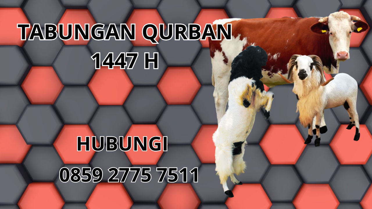 0859 2775 7511 Jasa Tabungan Qurban Di Tangerang