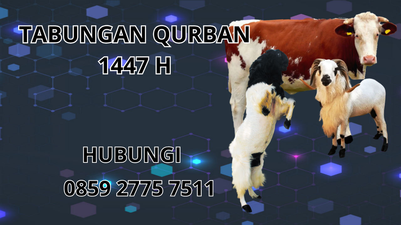 0859 2775 7511 Patungan Qurban Sapi Di Buton Utara 0859 2775 7511 Patungan Qurban Sapi Di Buton Utara