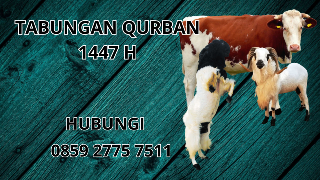 0859 2775 7511 Patungan Qurban Sapi Di Bitung 0859 2775 7511 Patungan Qurban Sapi Di Bitung